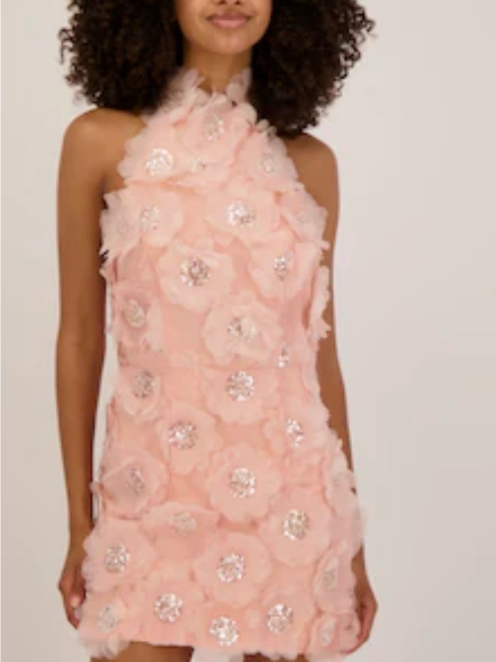 Elliatt Cherry blossom Blush Pink Floral Appliqué Halter Mini Dress